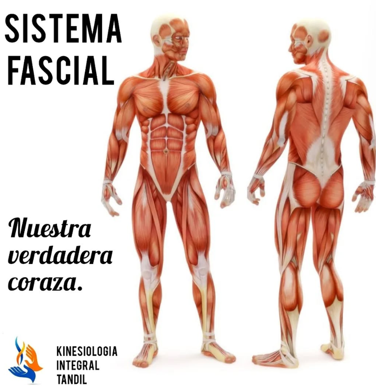 eco salud tello - 1