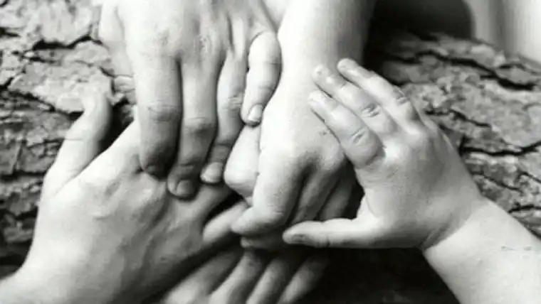 Seis hermanitos salteños necesitan ser adoptados juntos