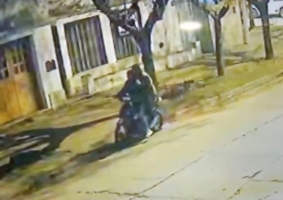 [Video] delincuentes robaron el conejo de una familia “Esperamos poder recuperarlo”