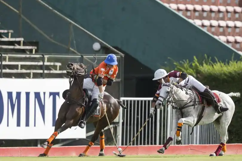 Asociación Argentina de Polo