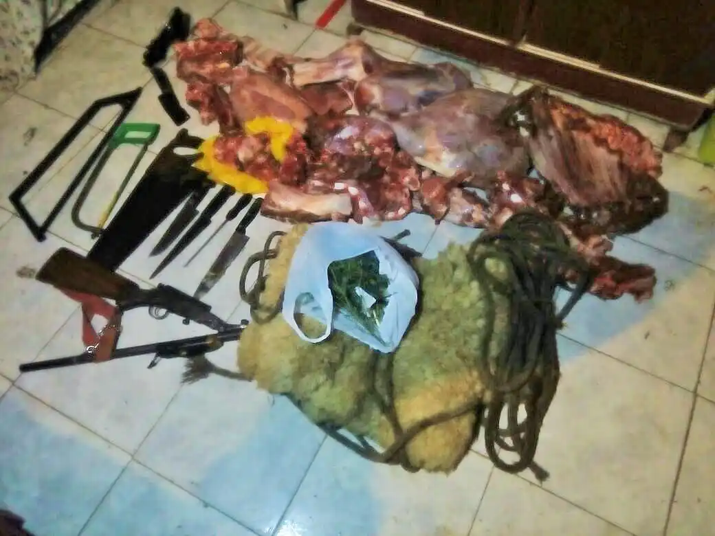 Allanamiento por abigeato en Lucas González