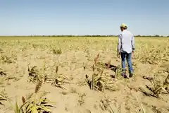FARER pide la emergencia agropecuaria de Gualeguaychú, Gualeguay, Islas y Concepción del Uruguay