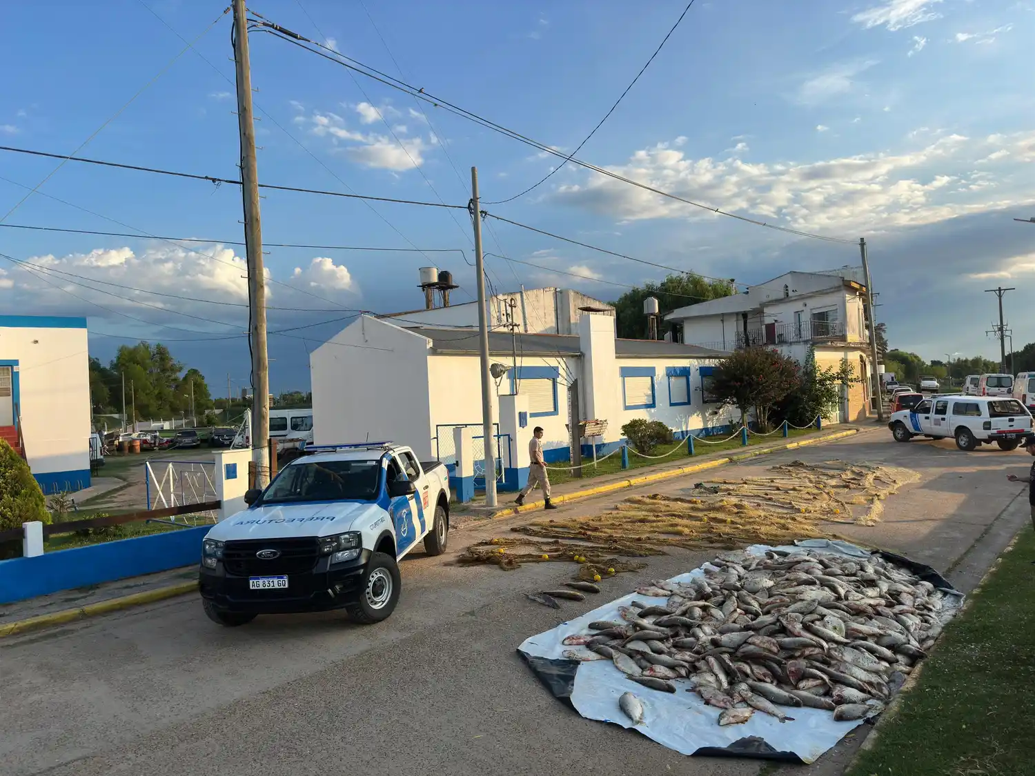 Prefectura incautó más de 2.800 kilos de pescado que fueron extraídos de manera ilegal del río Uruguay