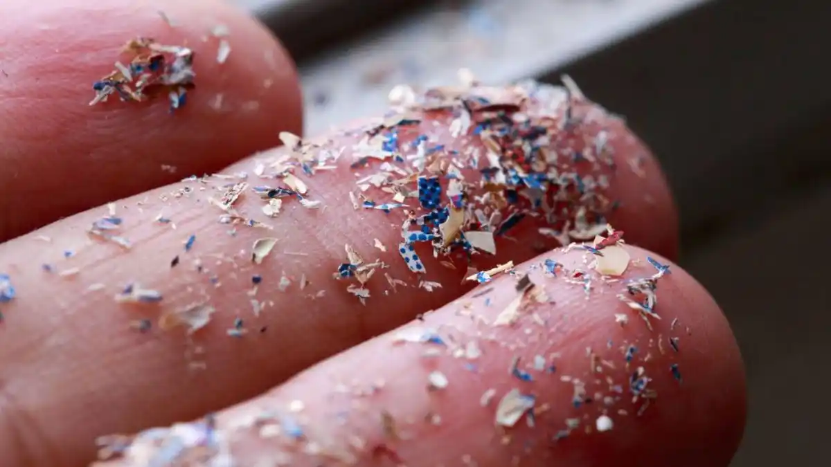 ¿Cuánto plástico comemos a diario? Ni te lo imaginas