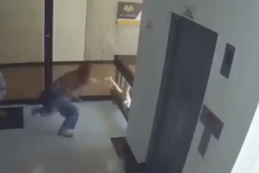 VIDEO | Impresionante: madre utiliza sus reflejos y salva a su hijo de caer al vacío en el interior de un edificio