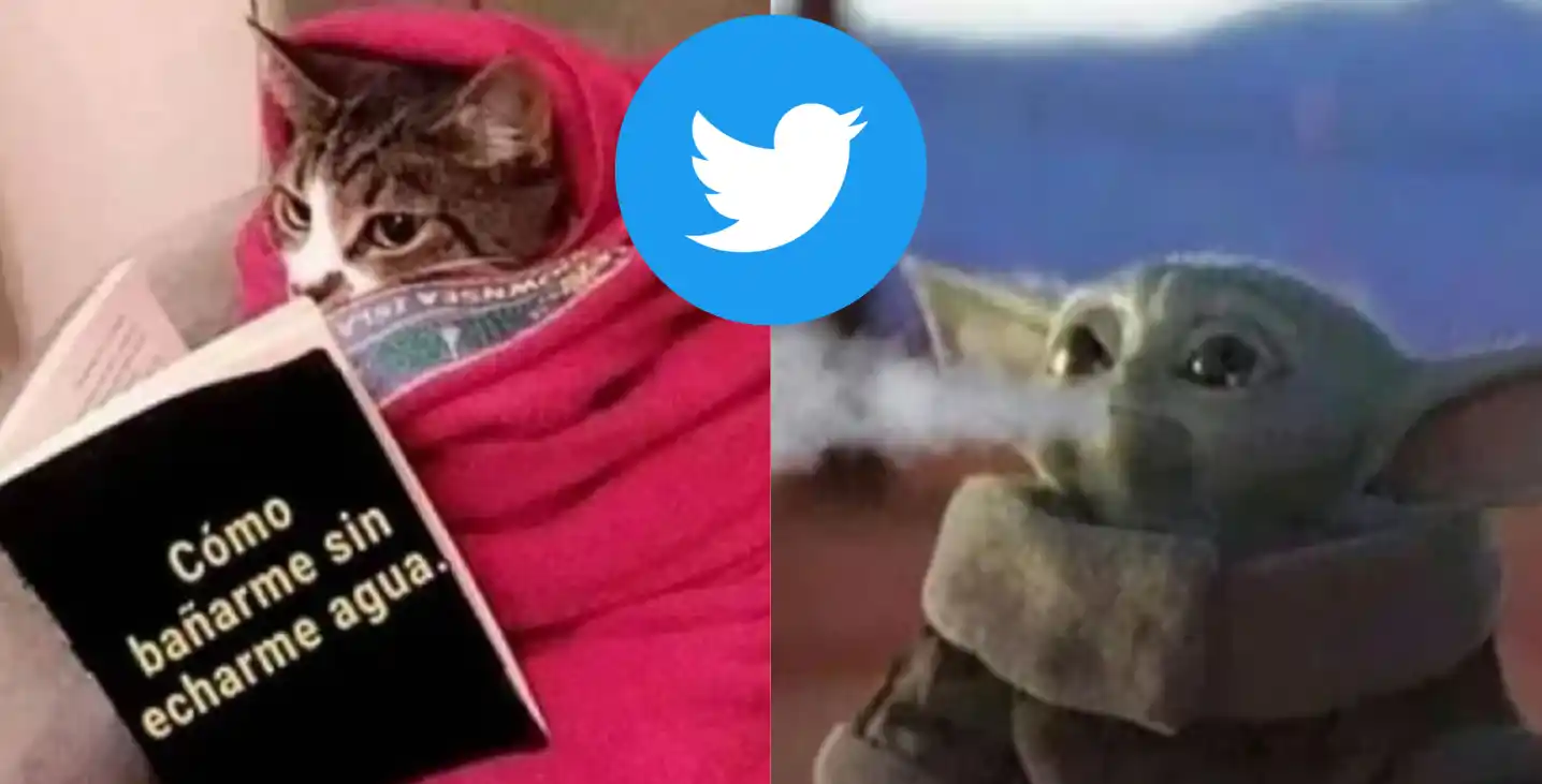 Llegó la ola polar y estallaron los memes en Twitter