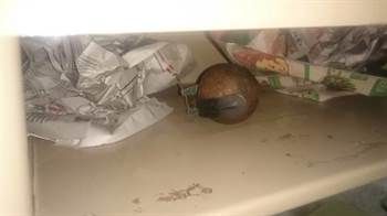 Hallaron una granada en una escuela de Escobar