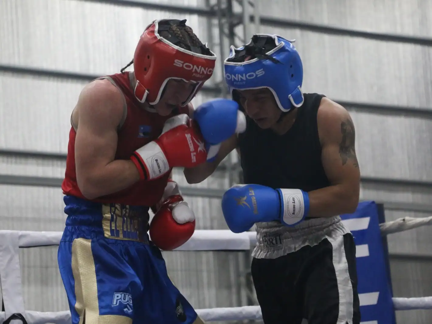 Crédito: Comisión Municipal de Boxeo.