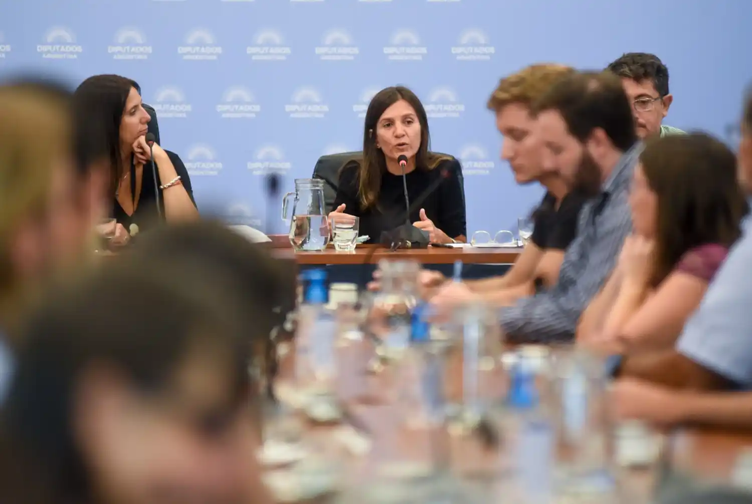 Fernanda Raverta expuso ante la comisión de Previsión y Seguridad Social de Diputados.