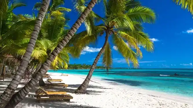 Bayahíbe: donde el azul del mar y el verde de las palmeras cobran vida