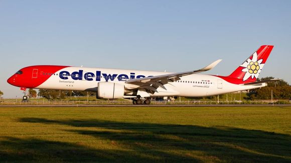 Adiós A340, hola A350: Edelweiss actualiza el avión en sus vuelos a Tampa, Florida