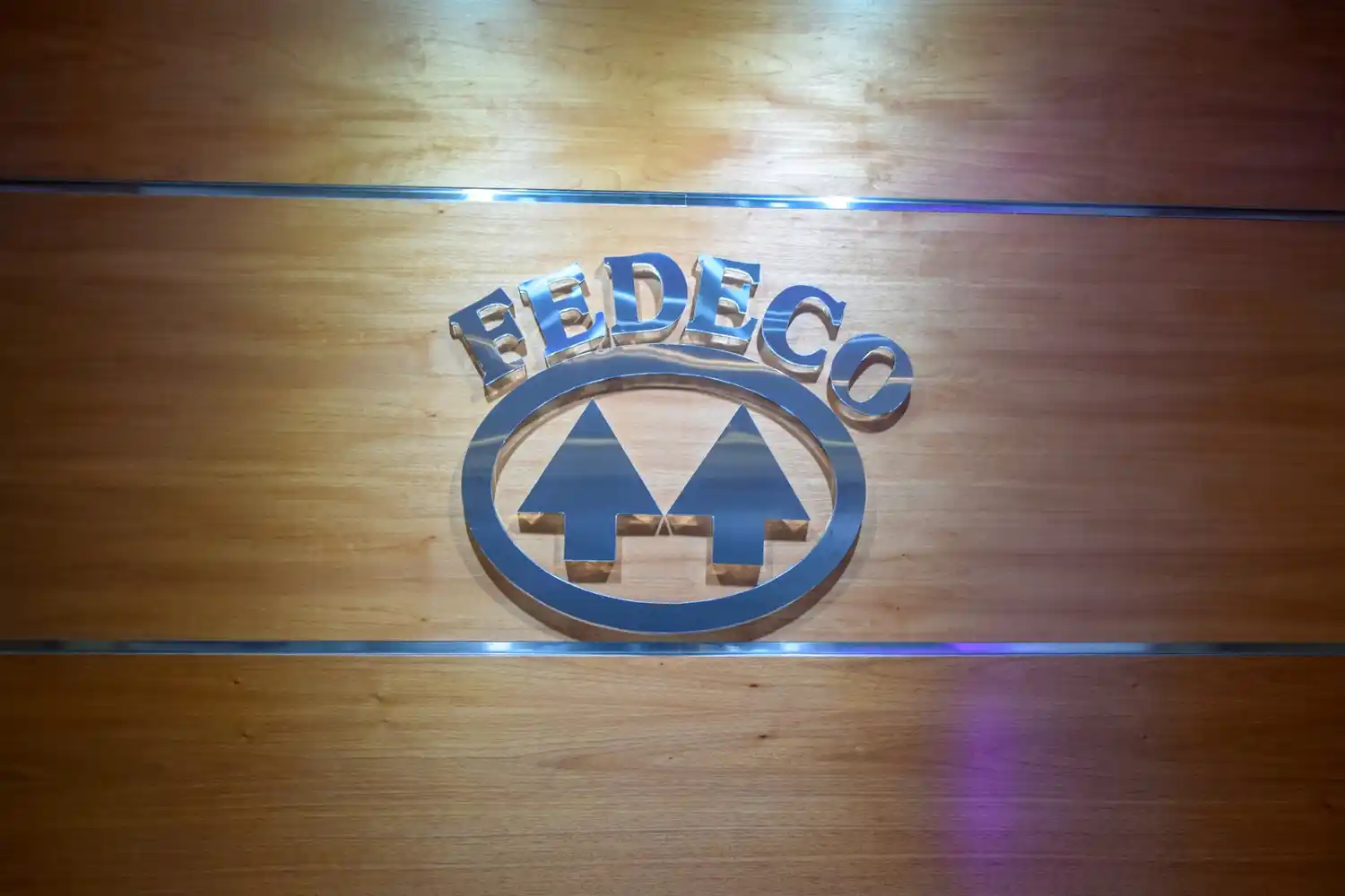 “Las cooperativas tienen el desafío de promover la economía social” recordó Edgardo Schneider