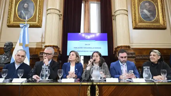 Senado: la oposición logró dictaminar la emergencia pediátrica