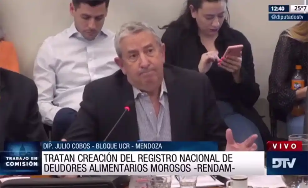 Avanza en Diputados un proyecto  para crear un Registro Nacional de Deudores Alimentarios