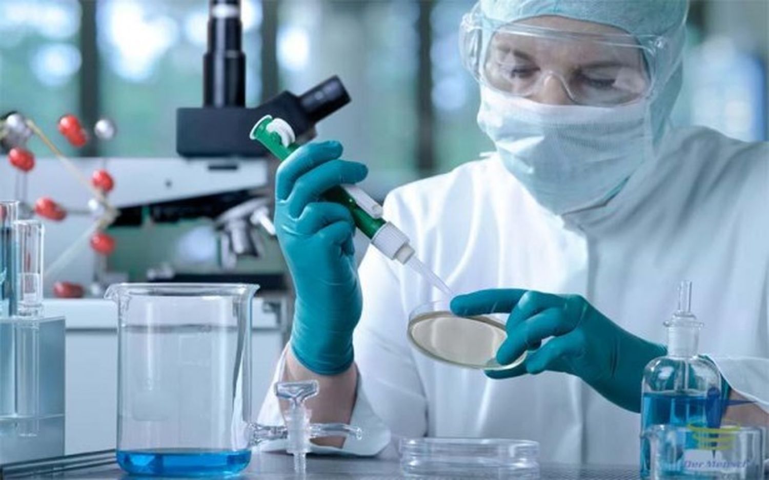 Reconocimiento internacional a una investigación argentina