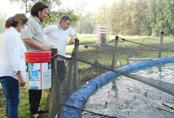 Campo experimental �SEl Alambrado⬝, un lugar único, dedicado a la investigación  y extensión en actividades productivas