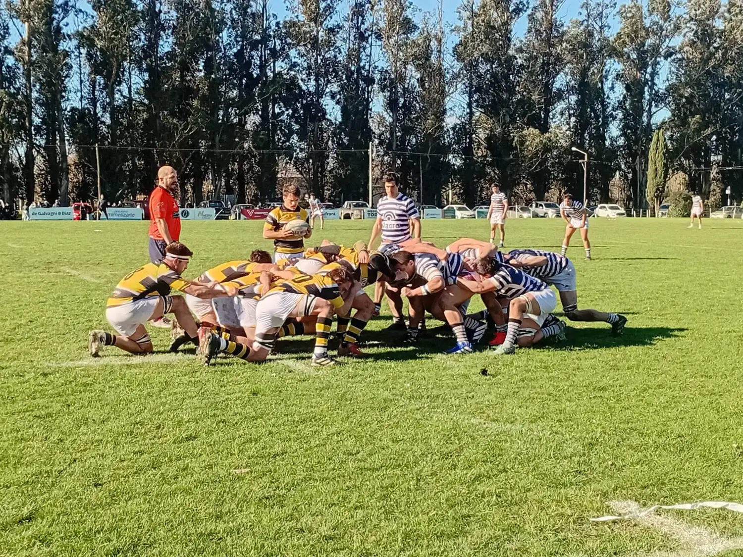 Eco Rugby 11/8 - 5