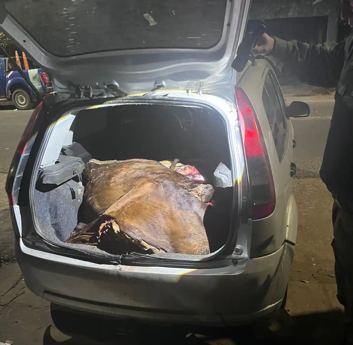 Llevaban el baúl cargado de carne de dudosa procedencia: les secuestraron todos los cortes