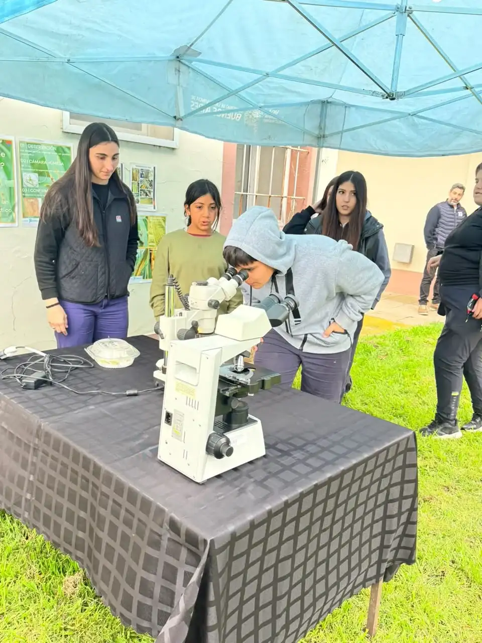 tranqueras abiertas 26 - 1