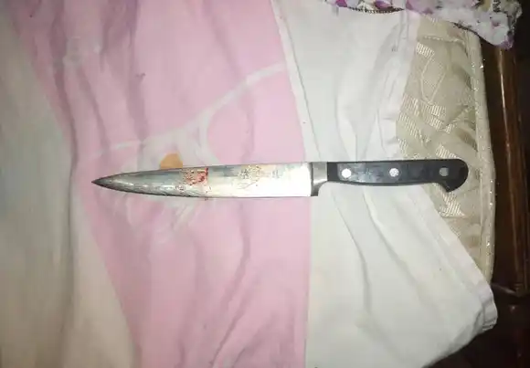 Mujer asesinó a puñaladas a su madre durante una discusión por dinero