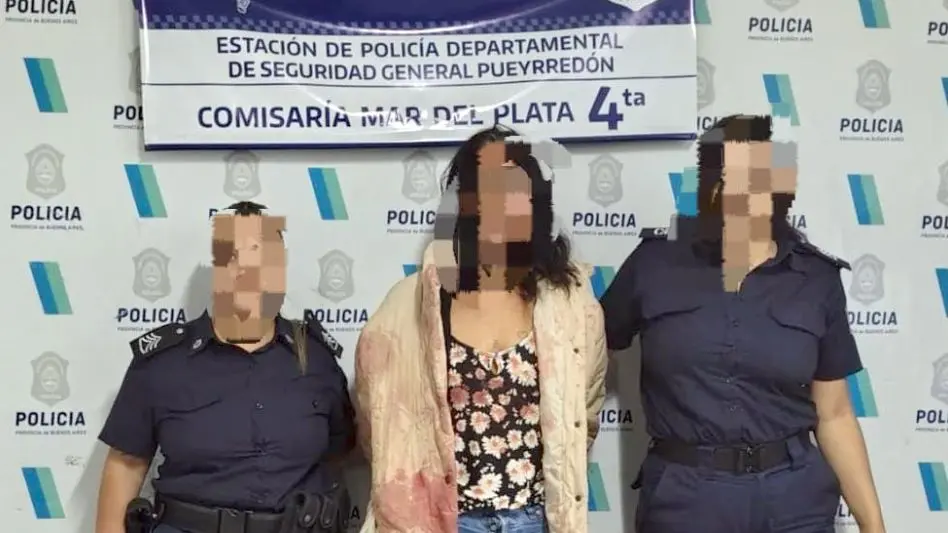 Atacó a su expareja con un palo de amasar en Villa Primera: fue aprehendida