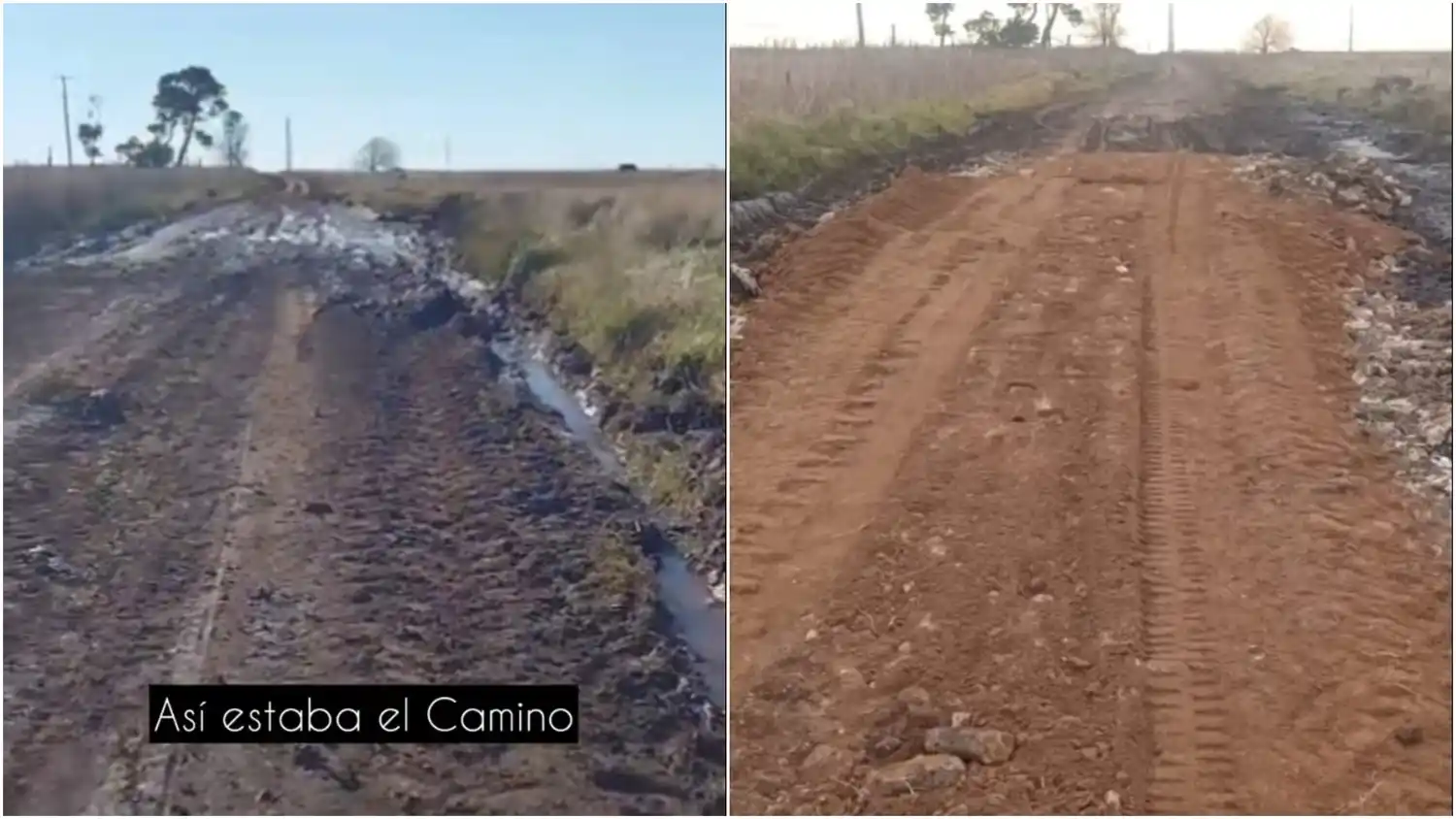 Ríe Milei: cansados de esperar al Estado, vecinos de Azul repararon un camino para que los chicos puedan ir a la escuela