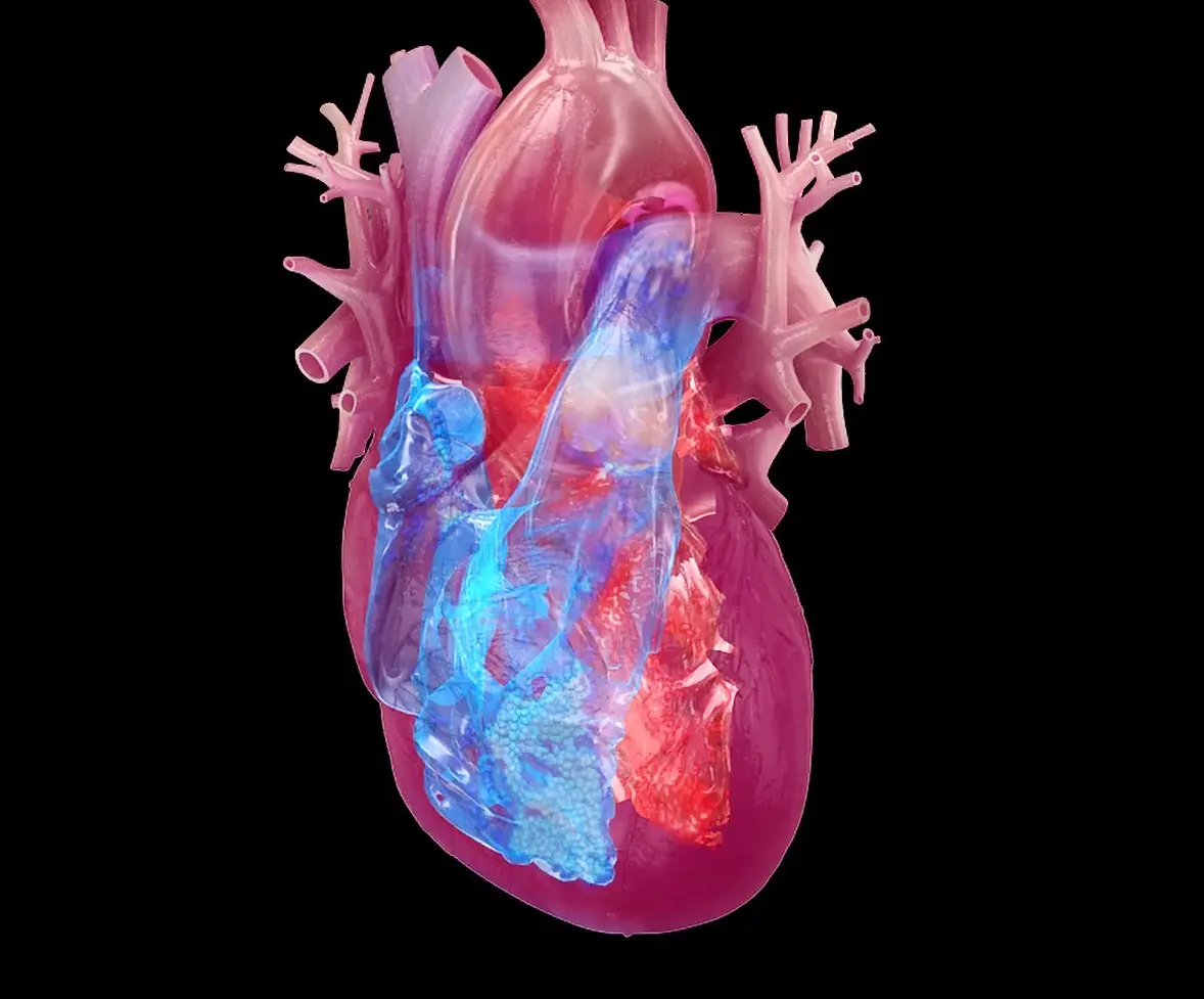 Cuidar el corazón con hábitos saludables detiene el envejecimiento biológico