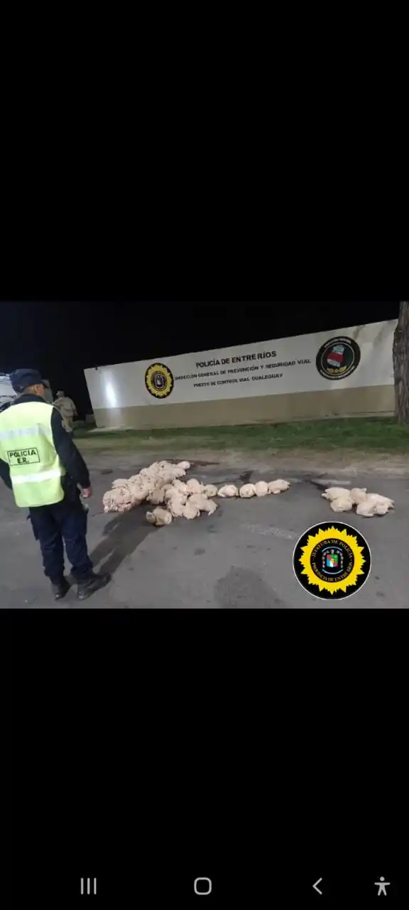 Policía intercepta Hilux con carga ilegal de pollos en Gualeguay
