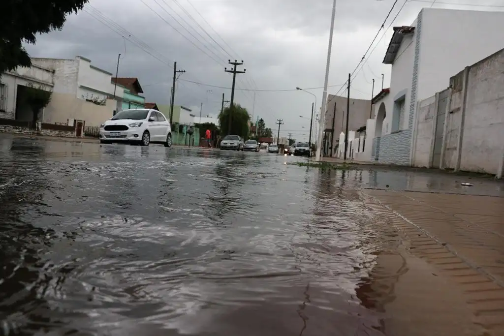 Una tormenta de lluvia y viento produjo  anegaciones y caída de árboles 
