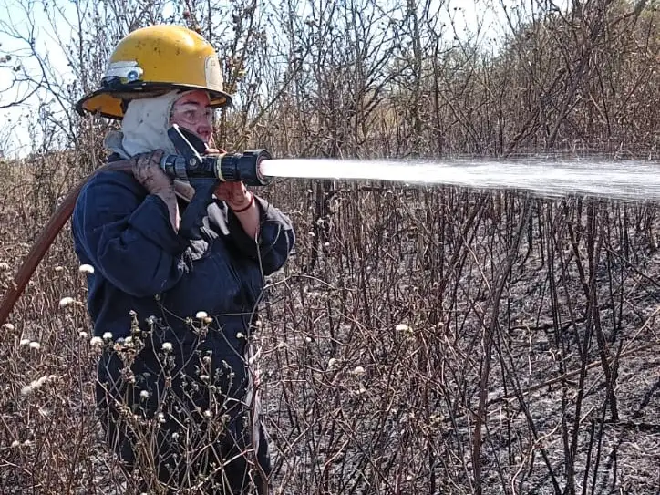 Dos incendios en campos de Gualeguaychú movilizaron a los Bomberos en las primeras horas de la tarde