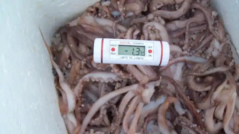  Pescado para Todos: Detectaron más de 2 mil kilos de alimento en mal estado