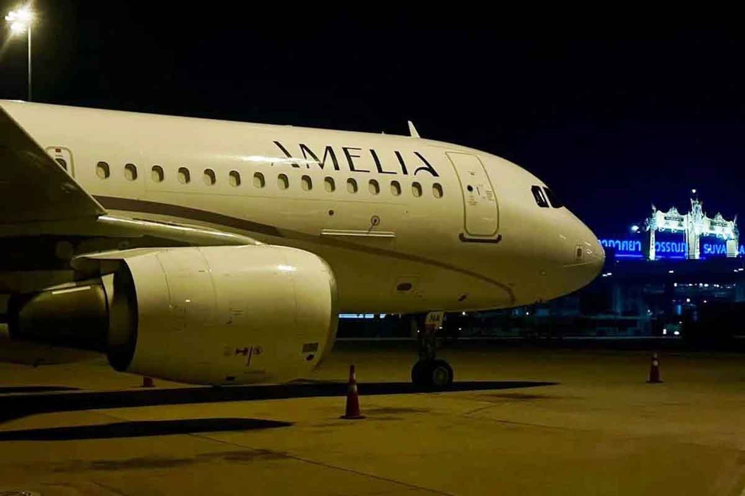 Amelia Executive Debuts VIP Airbus A319 for Long-Haul Charter Flights