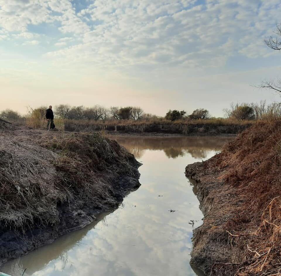 Suman brigadistas y vehículos para trabajar sobre nuevos incendios en el delta del Paraná