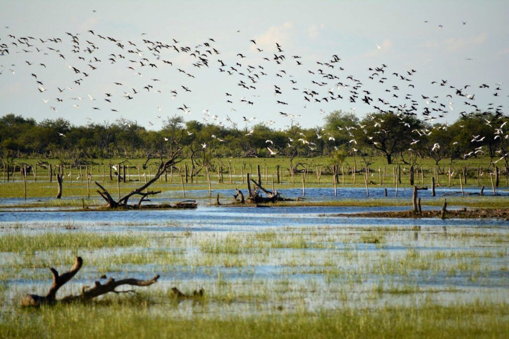 El Senado sancionó la creación del Parque y Reserva Nacional Ansenuza