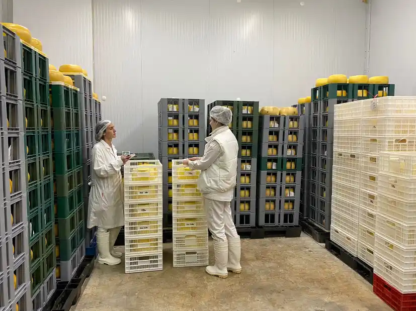 Quesos de Tandil logran ingresar al mercado de los Estados Unidos