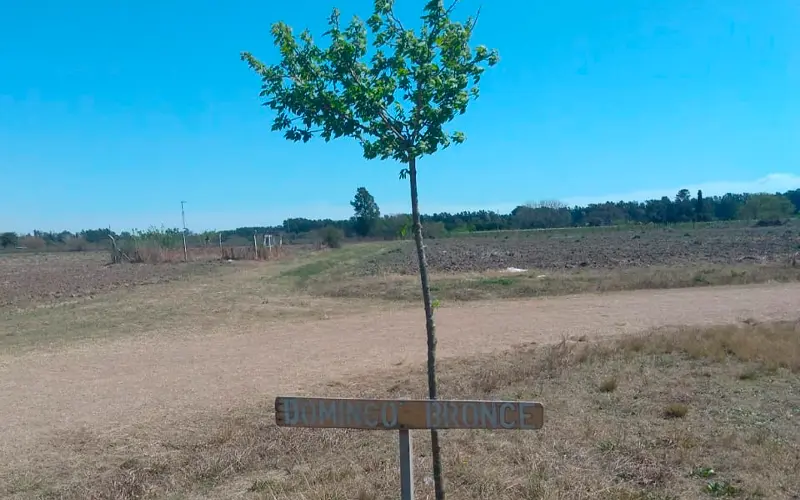 Dos años sin Domingo Bronce: su familia agradeció un árbol plantado en su recuerdo por la escuela Agropecuaria