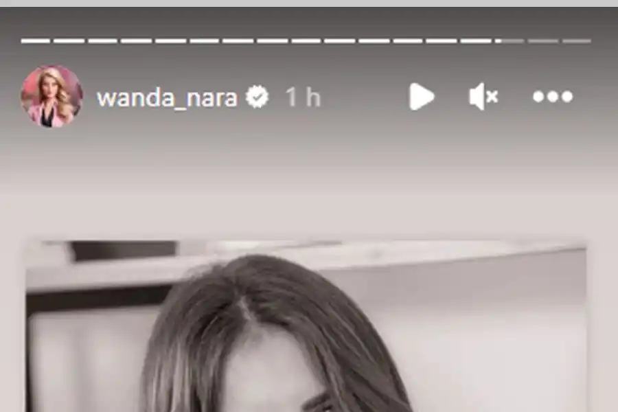 Wanda Nara compartió una imagen en sus historias