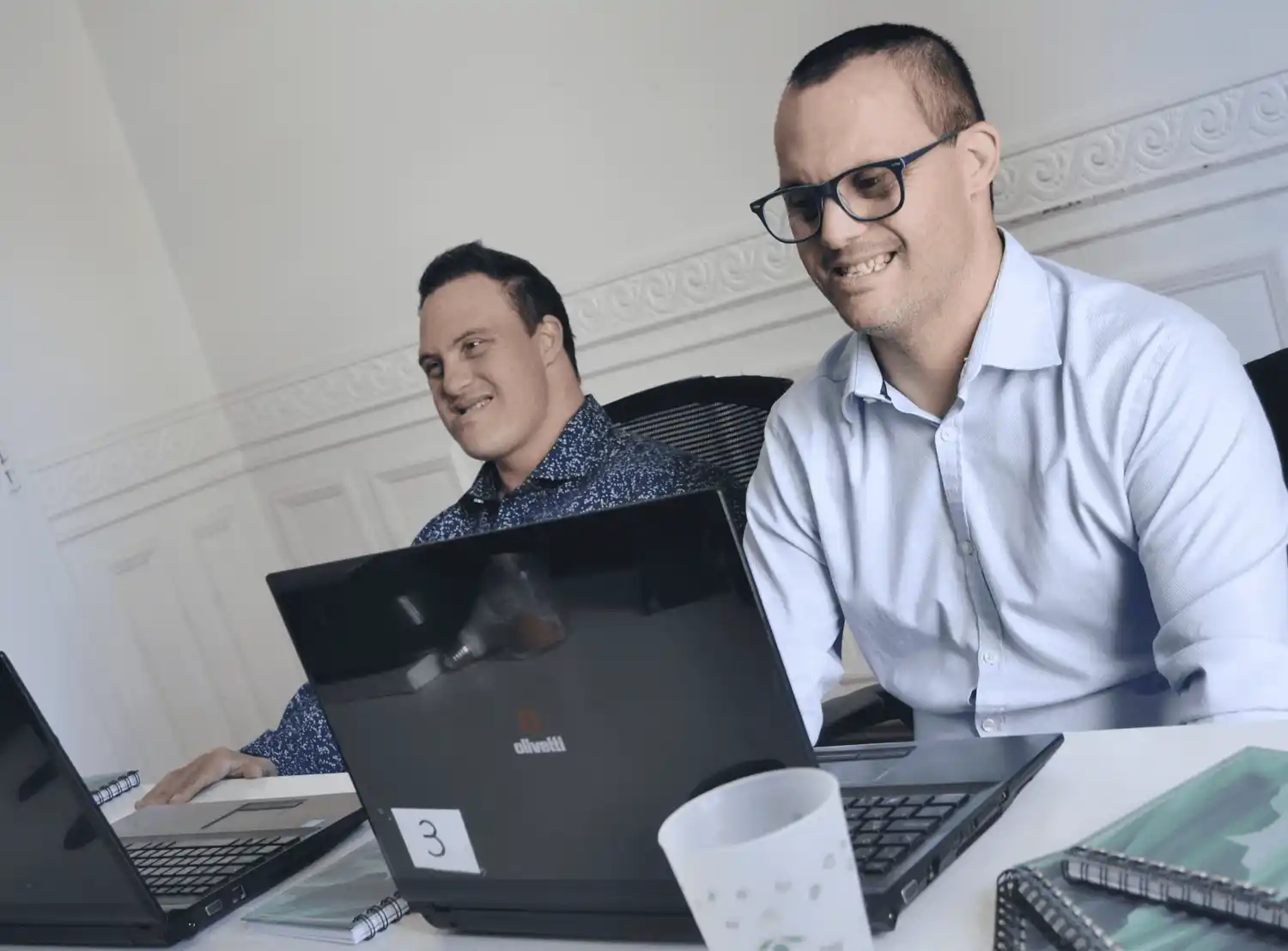 EL programa es 100% virtual