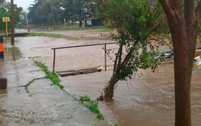 Calle Frers, llena de agua: “No podemos salir”