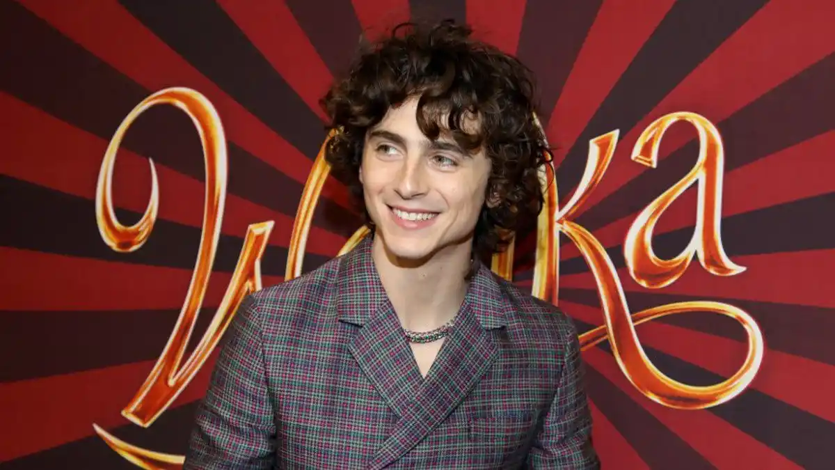 El rey del chocolate «Wonka» cierra 2023 a la cabeza de la taquilla