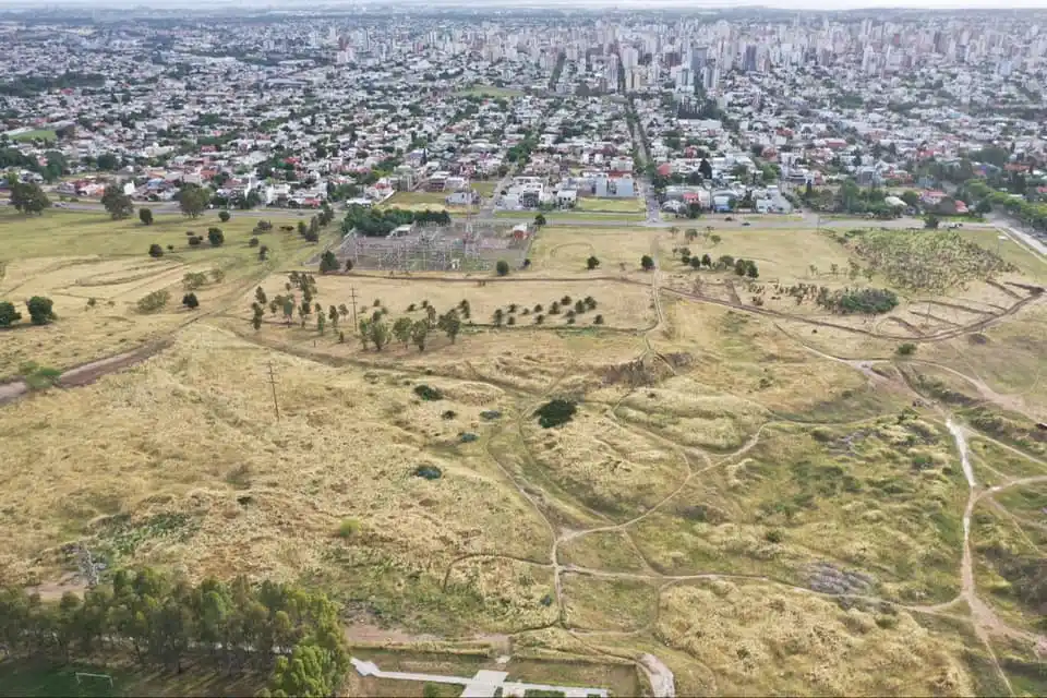 Bahía Blanca: Construyen parque ecológico con árboles nativos y endémicos