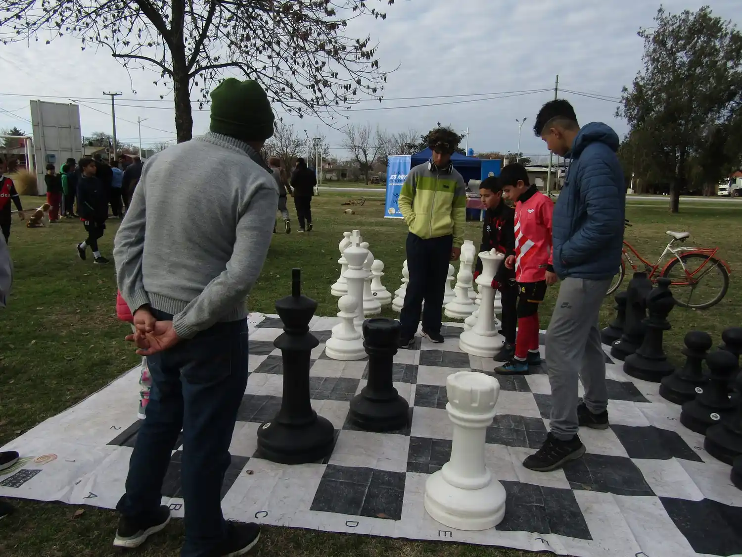 María Teresa Ajedréz