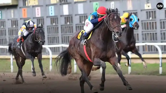 Sábado 9: Actividad Hipódromo de San Isidro