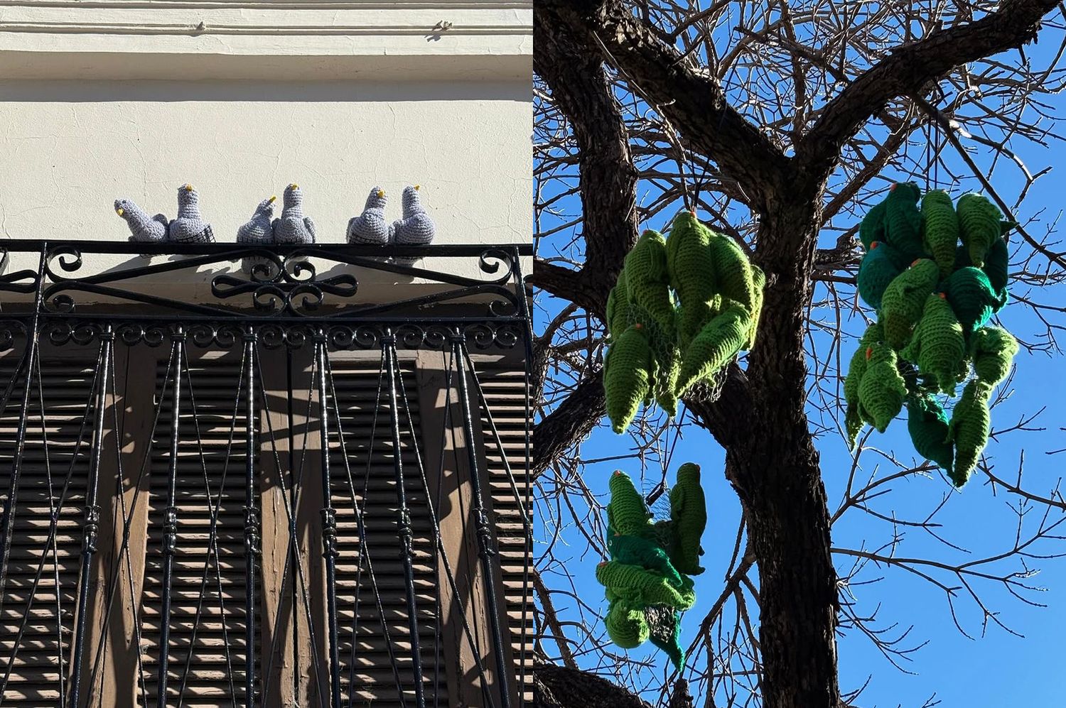 Los árboles de Rafaela se llenaron de aves tejidas en una nueva intervención de Bomba de Lana