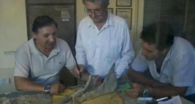 Extraño fósil en Bajo Tala