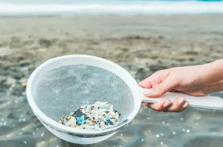 Hallan por primera vez microplásticos en el torrente sanguíneo humano