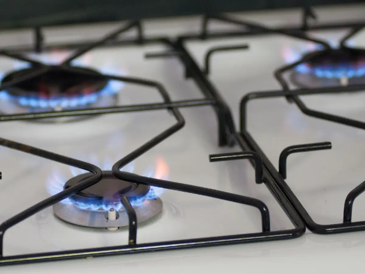 Subsidios a la luz y el gas: el paso a paso para llenar el formulario y no perder el beneficio