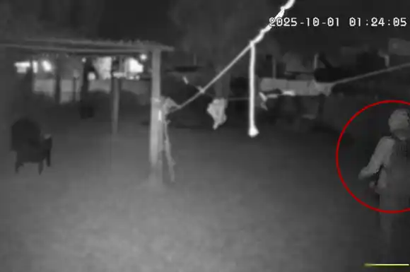 Quedó grabado cuando entró a robar al patio de una casa: se llevó la ropa sin lavar