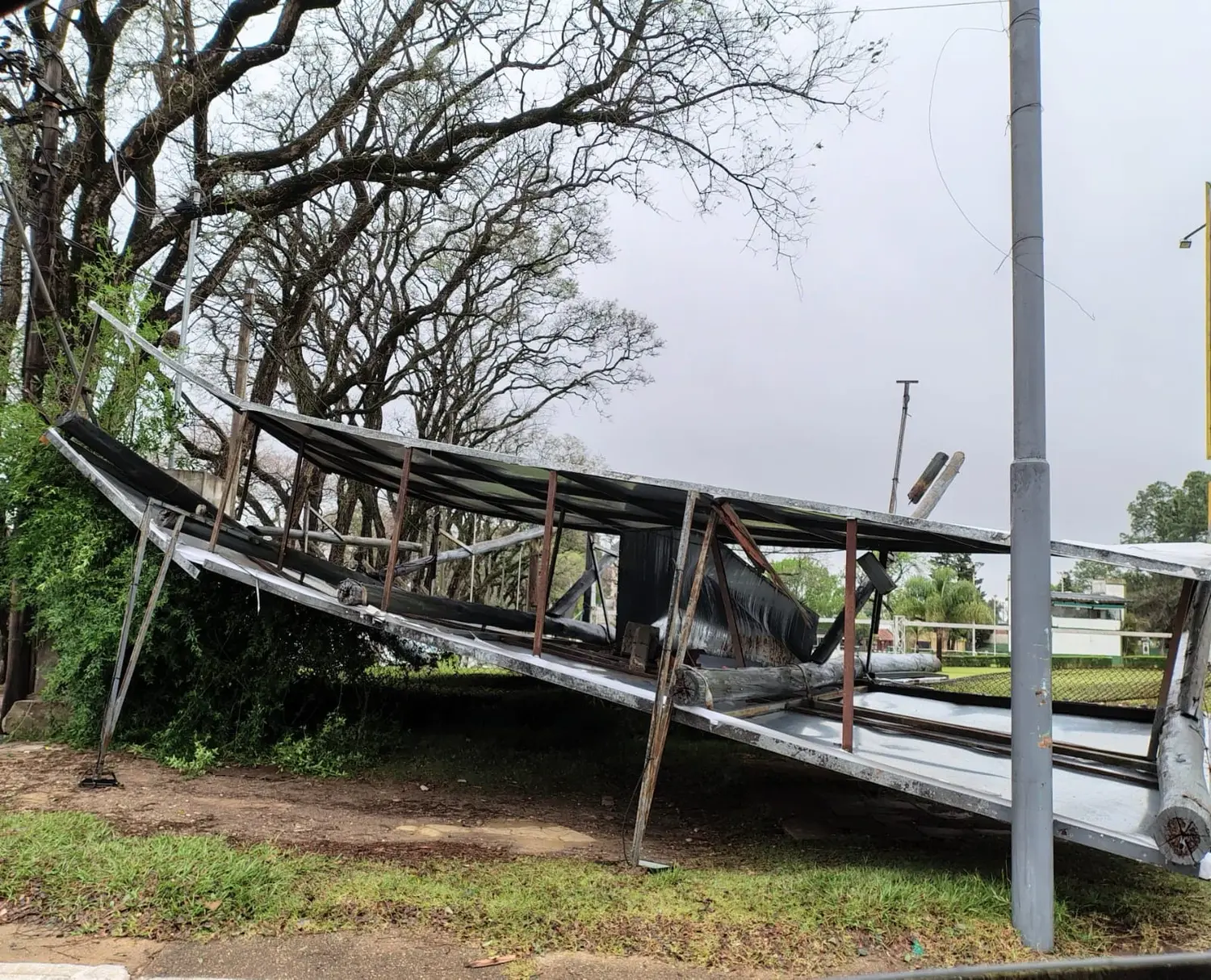 Tras la tormenta, la municipalidad desplegó un operativo de asistencia en Concordia