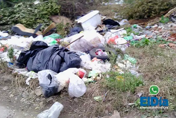 Minibasural: "Lo generan los propios vecinos y hasta hay animales muertos" 